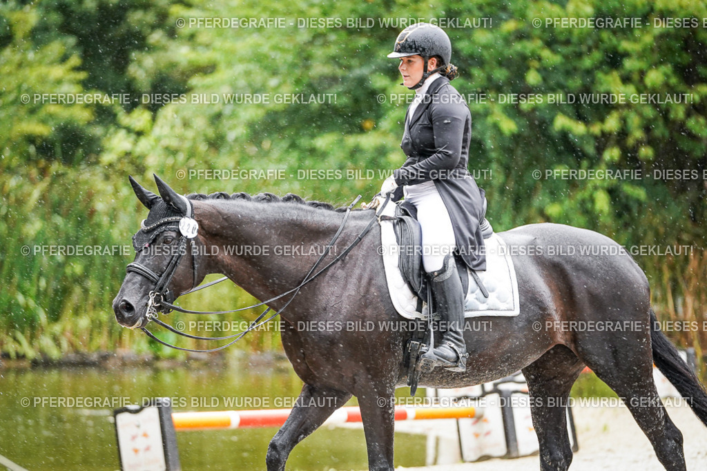 DSC08519 | Pferdegrafie