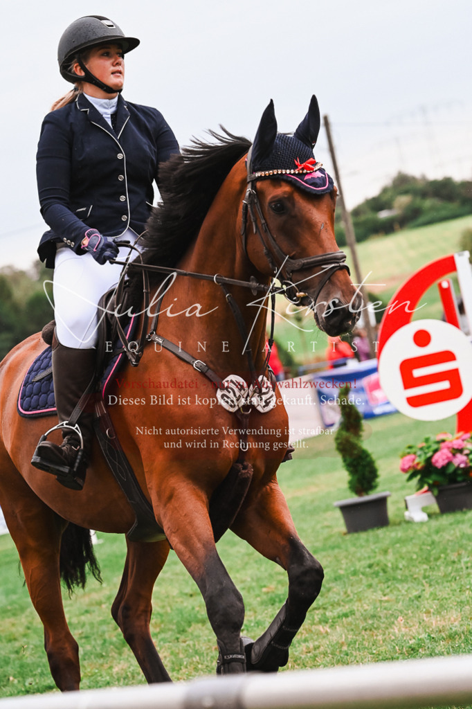 DSC_6474 | Pferde- und Turnierfotografie in Westsachsen. Pferdeportraits, Auftragszeichnungen und intuitive Kunst.