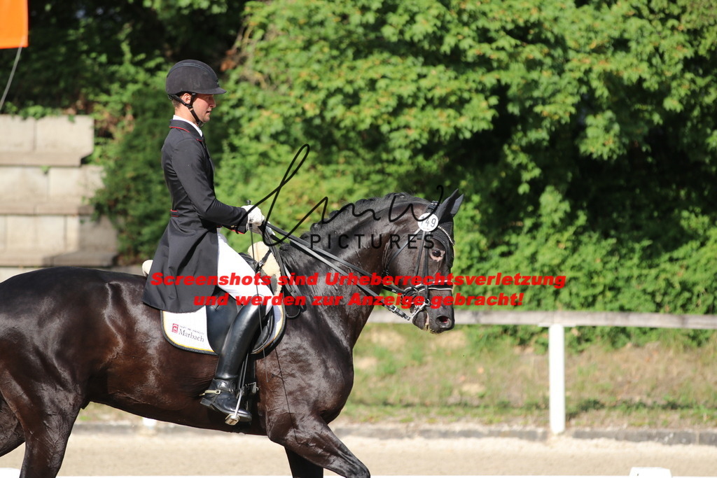 IMG_6329 | lmwpictures - Realisiert mit Pictrs.com