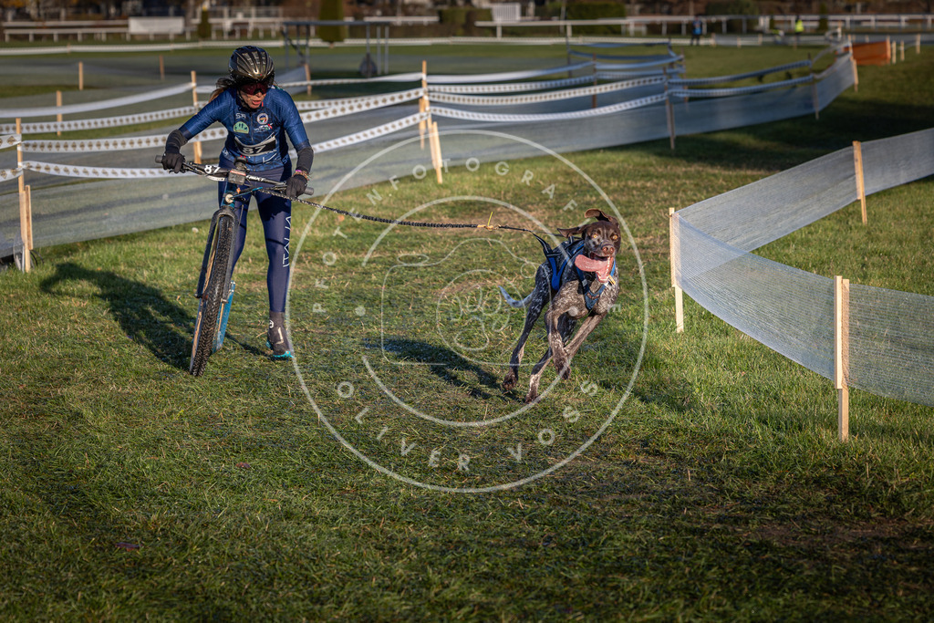 CaniXpix_0L8A3821 | Hundefotografie, Tierfotograf, Pfotenfotografie, Fotoshooting Hund, Hunde Portrait, Hundesport, Hundeportraits, Heideshooting, Hunde, Sportfotograf, Hundefotograf, Turnierhundsport, THS,  - Realisiert mit Pictrs.com