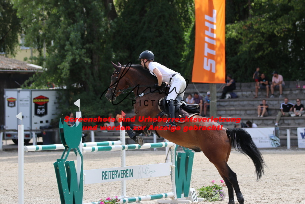 IMG_0498 | lmwpictures - Realisiert mit Pictrs.com