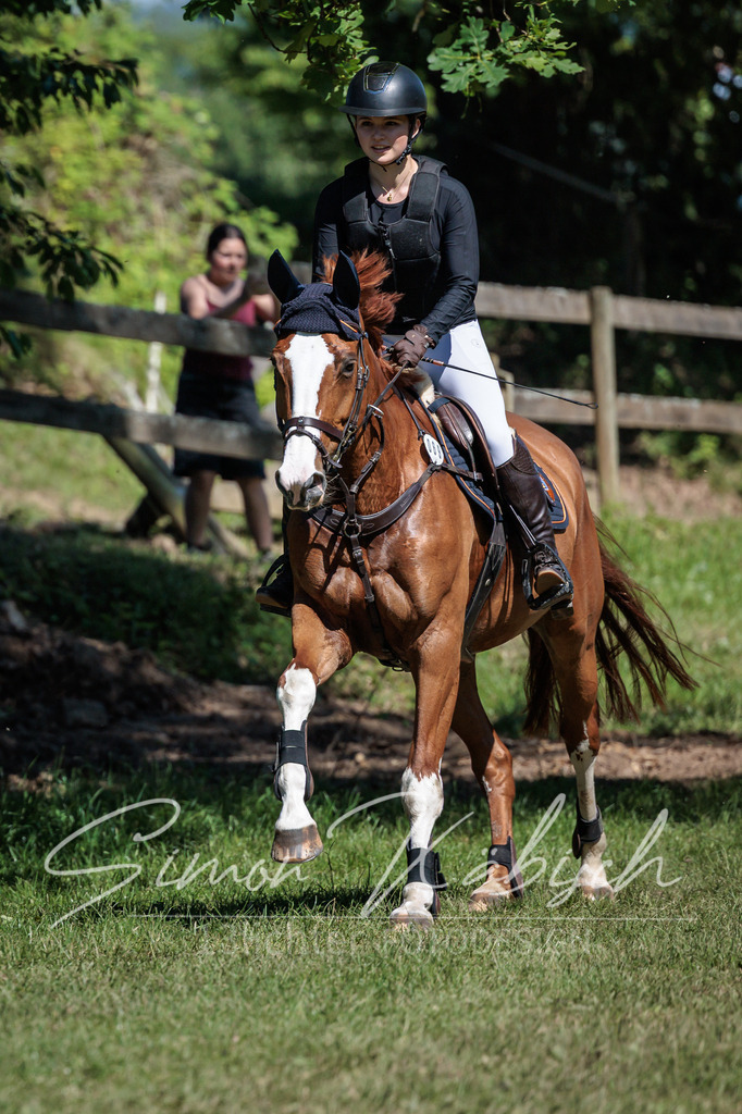 20260523-_3LI7314 | Tierfotografie Pferde, Hunde, Katzen, Haustiere.
Turnierfotografie Reitturniere, Reiten, Springreiten, Dressur in Hanau, dem Main-Kinzig-Kreis und dem Rhein-Main- Gebiet um Frankfurt