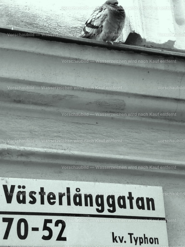 Stockholm-Västerlanggatan | online Fotogalerie mit schwarz-weiß Fotografien und Shop für zeitlose  Poster und Leinwände in stilvollem schwarz weiß  - Realisiert mit Pictrs.com