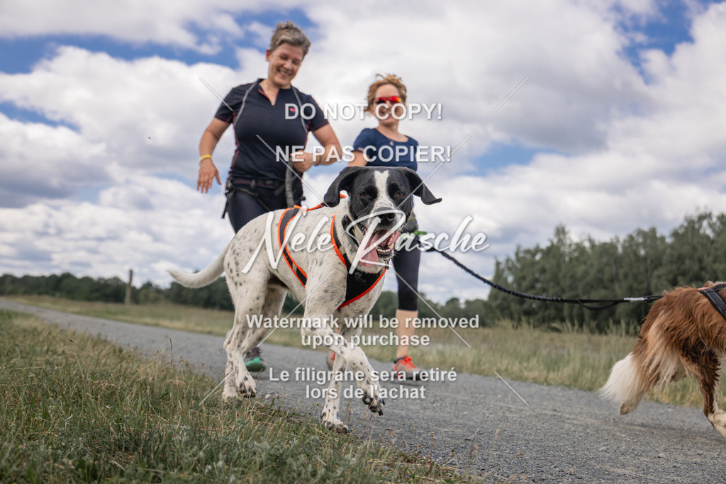 nelerasche_BuHu2026_SaCC1100-1200_159 | nelerasche