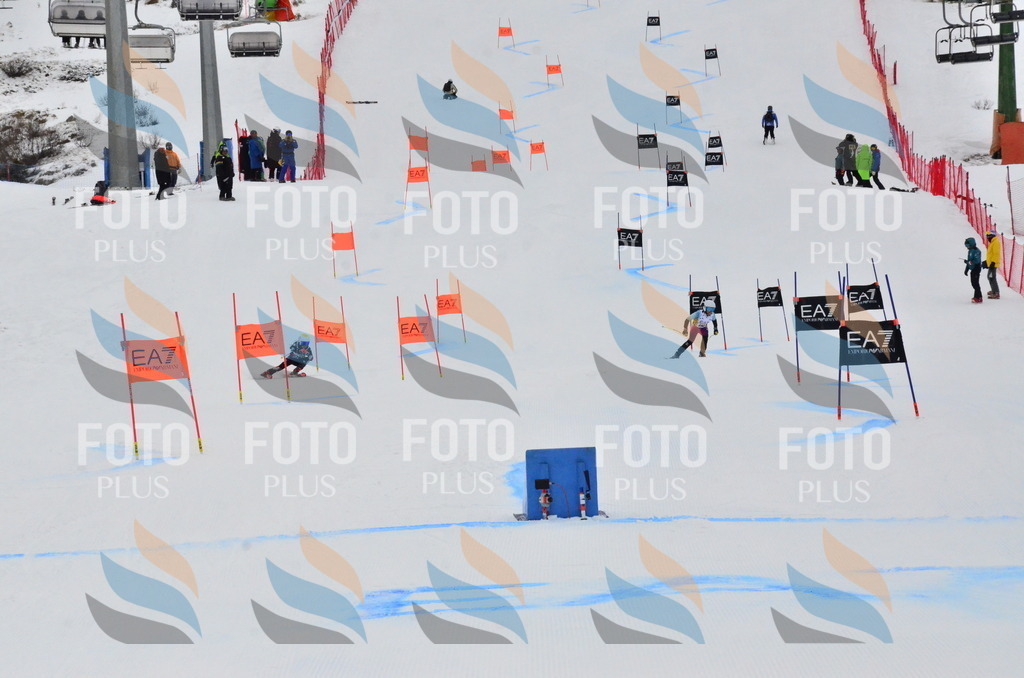 _ELE3692 | holidayphoto