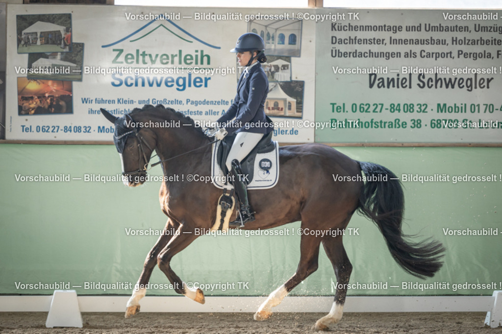 _D5A0674 | Emotionale Pferde- & People-Fotografie rund um Heidelberg, Leimen & Umgebung. Natürliche Fotos von Pferd, Mensch & Familie. Jetzt Termin sichern!