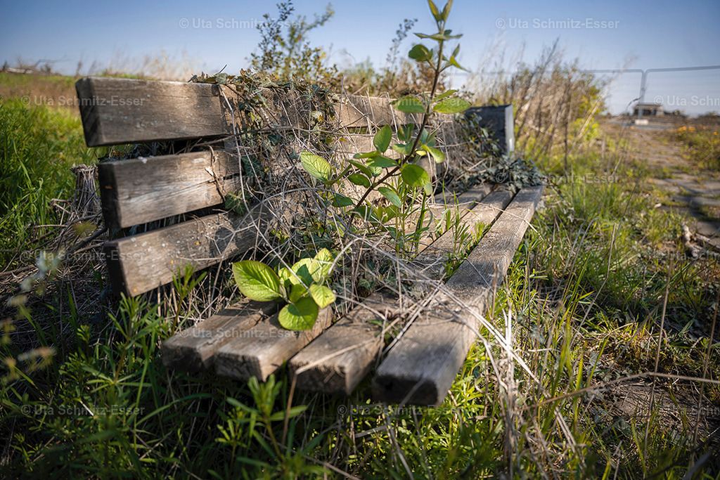 Manheim_21_04 | CEUS Design - Realisiert mit Pictrs.com