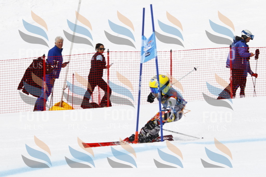 _U3G6771 | holidayphoto