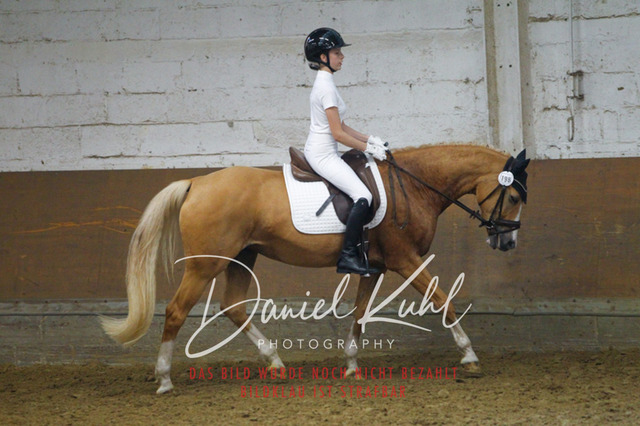 DKP44008 | Turniersportfotografie; Pferdefotografie; Dressurfotografie
