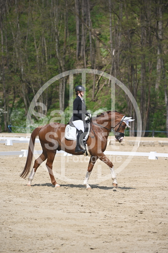 DSC_1575 | sattelsport - Realisiert mit Pictrs.com