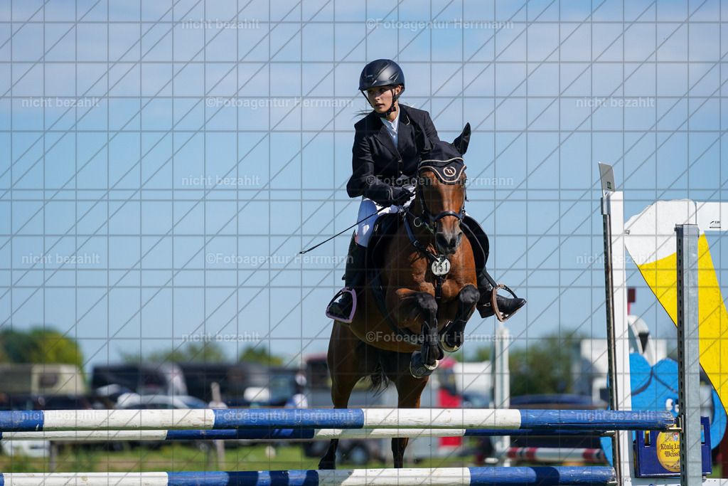 20230917-FAH09384 | Landsberg am Lech, 2023, Kaufbeuren, Kempten, Allgäu, Turnierfotografen Bayern, Fotoagentur Herrmann, Turnierbilder, Reitsport Fotos, Pferdefotograf, Augsburg, Bad Tölz, Dachau, Karlsfeld, Memmingen, Buchloe, Schwabmünchen