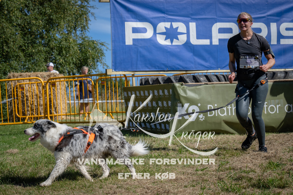 1118_ZZ91147 | kk-dogfotos