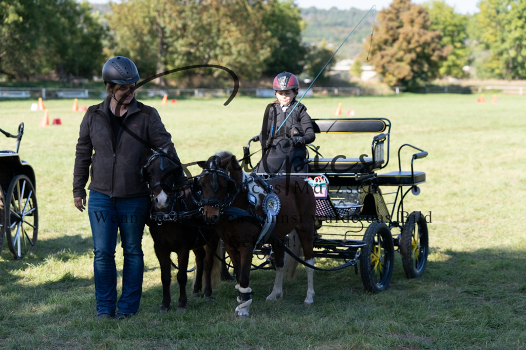 A7V04424 | Pferdefotograf