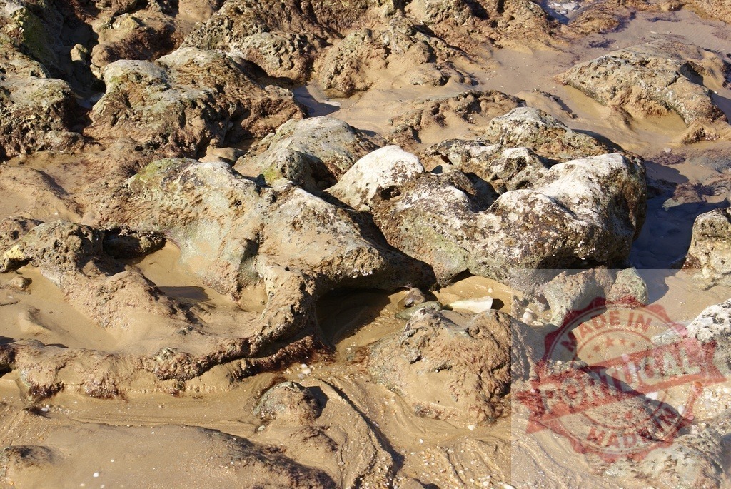 Coastal rock formations contrasting with wet beach sand | Rocks and wet sand creating a textured tide pool landscape showing erosion - Realisiert mit Pictrs.com