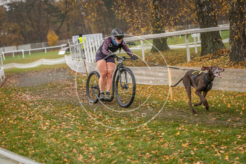 CaniXpix_DV3A8435 | Hundefotografie, Tierfotograf, Pfotenfotografie, Fotoshooting Hund, Hunde Portrait, Hundesport, Hundeportraits, Heideshooting, Hunde, Sportfotograf, Hundefotograf, Turnierhundsport, THS,  - Realisiert mit Pictrs.com