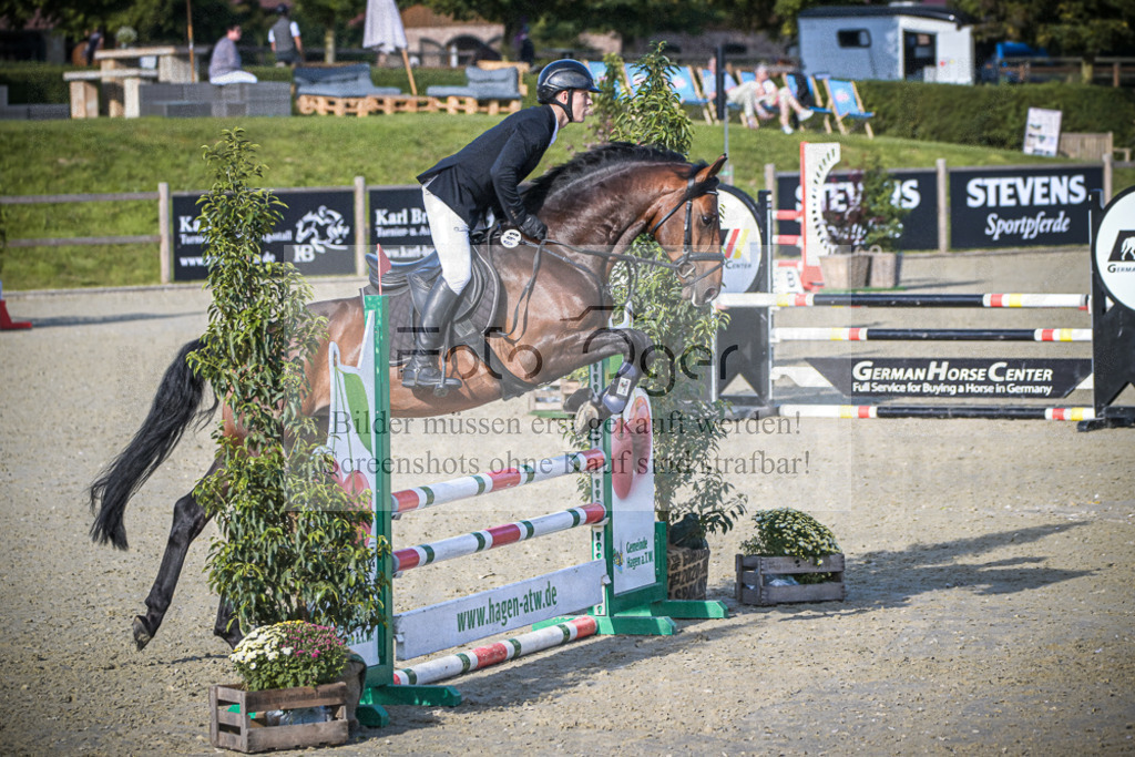 DOS_9117 | Entdecke hochwertige Reitturnierfotos von Foto Oger. Professionell, emotional und authentisch – jetzt Lieblingsmomente im Shop bestellen.Deutschlandweite Turnierfotografie. - Realisiert mit Pictrs.com