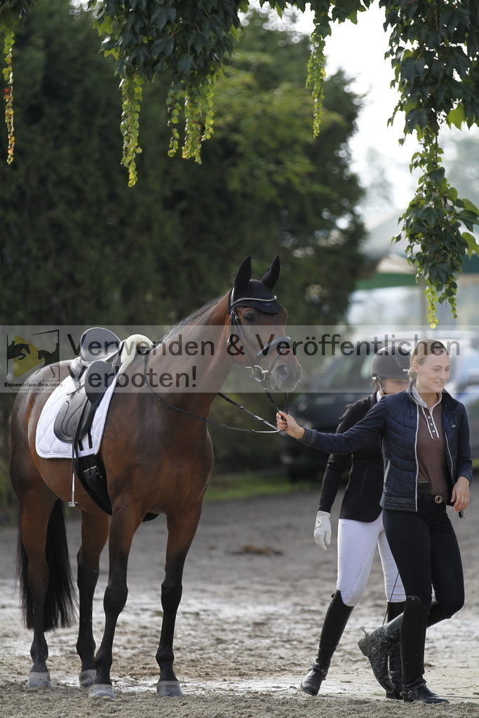 _MG_6298 | equestrian-live-com