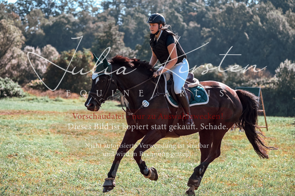 DSC_0900 | Pferde- und Turnierfotografie in Westsachsen. Pferdeportraits, Auftragszeichnungen und intuitive Kunst.