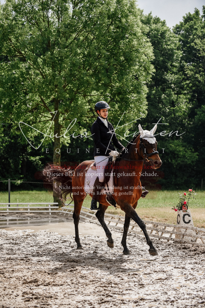 DSC_9829 | Pferde- und Turnierfotografie in Westsachsen. Pferdeportraits, Auftragszeichnungen und intuitive Kunst.