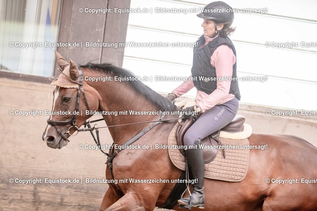 20250725_Vielseitigkeitslehrgang-Marbach_0188 | Foto: Thomas Hartig