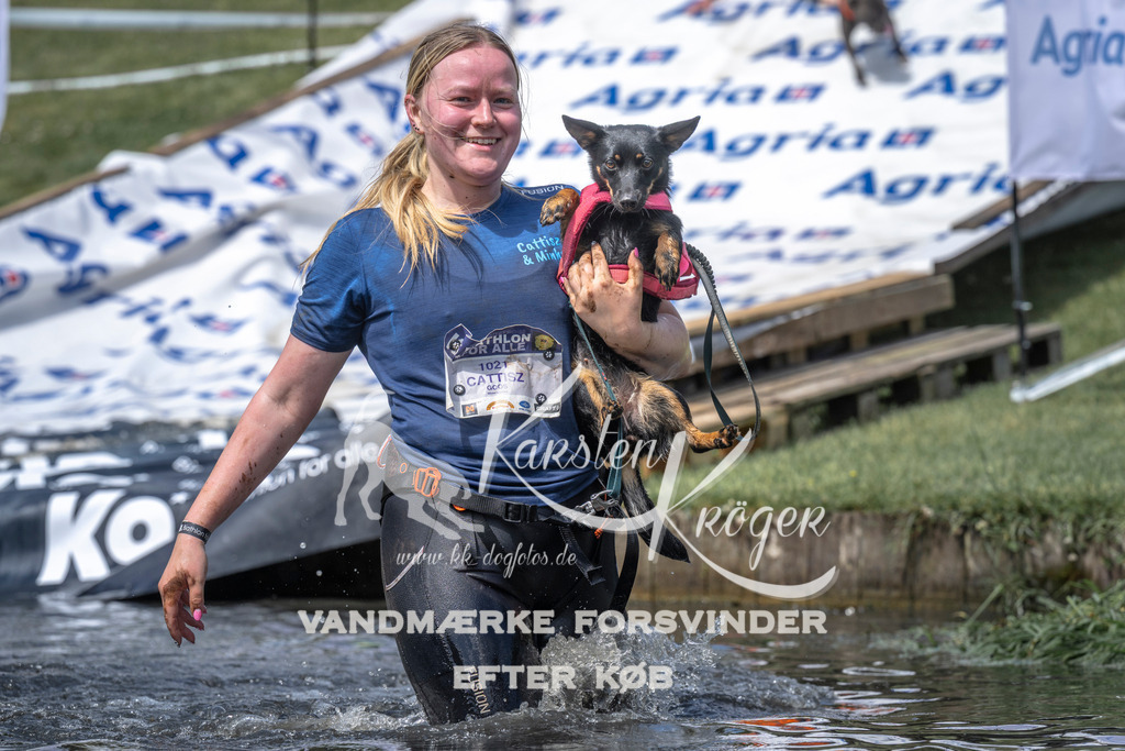 1202_ZZ94866 | kk-dogfotos