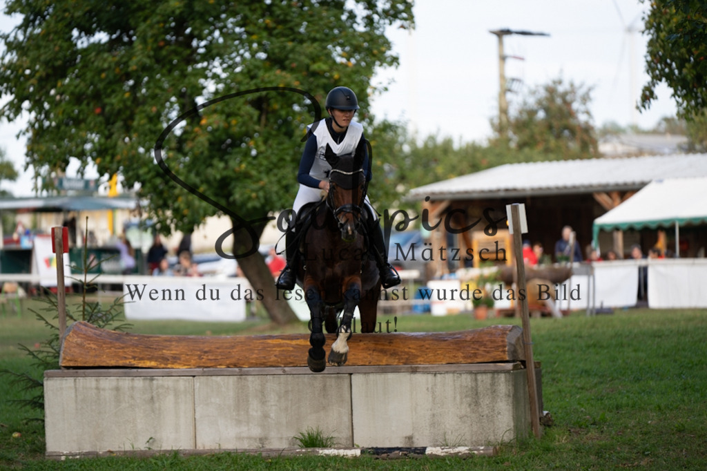 A7V03055 | Pferdefotograf