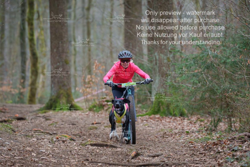 Scooter_So-11 | stephaniefillaphotographie - Realisiert mit Pictrs.com