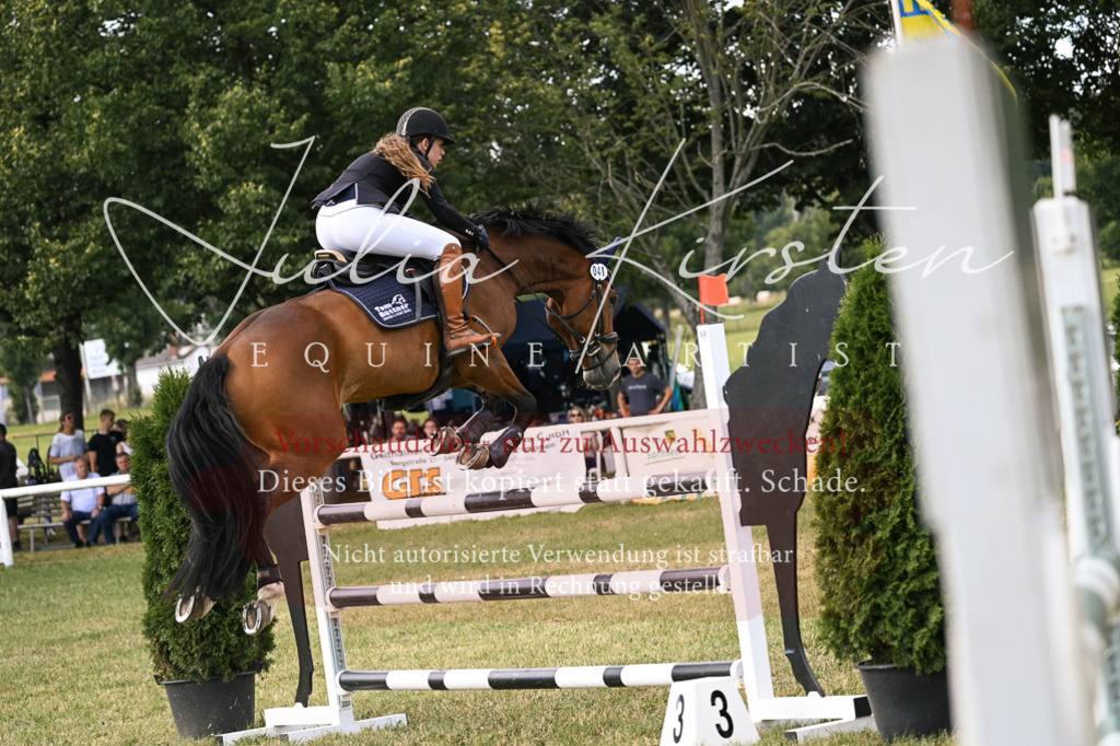 DSC_0898 | Pferde- und Turnierfotografie in Westsachsen. Pferdeportraits, Auftragszeichnungen und intuitive Kunst.
