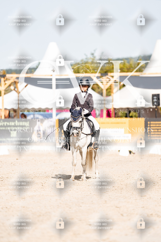 CK905681 | Turnierfotografie Pferdefotografie Trier Rheinland-Pfalz Pferdesport Reitsport Tierfotografie Sportfotografie Pferdevideo Pferdevideografie Equestrianvideography equestrianphotography  - Realisiert mit Pictrs.com