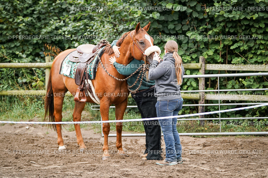 DSC02919 | Pferdegrafie