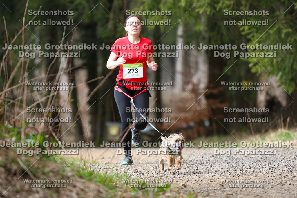 Dog Paparazzi - VCC26-396 | Dog Paparazzi Jeanette Grottendiek Fotografie & Videografie - Realisiert mit Pictrs.com