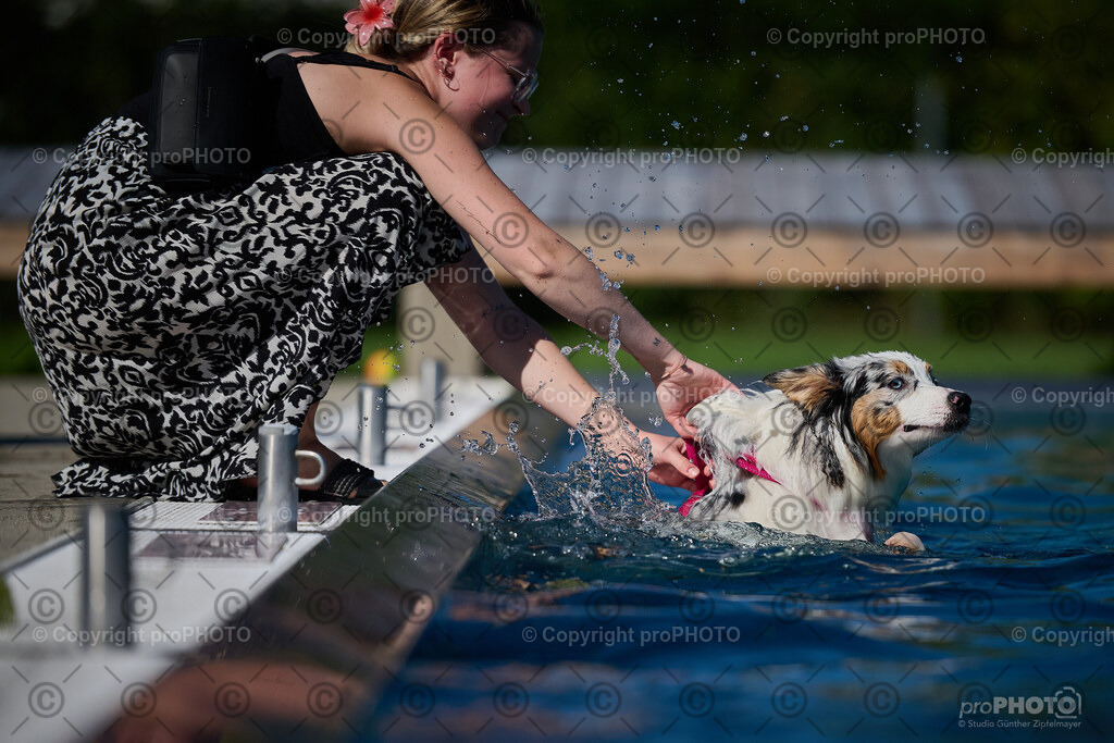 198_202509_4Hundebadetag_NZ9_2768 | proPHOTO - Realisiert mit Pictrs.com