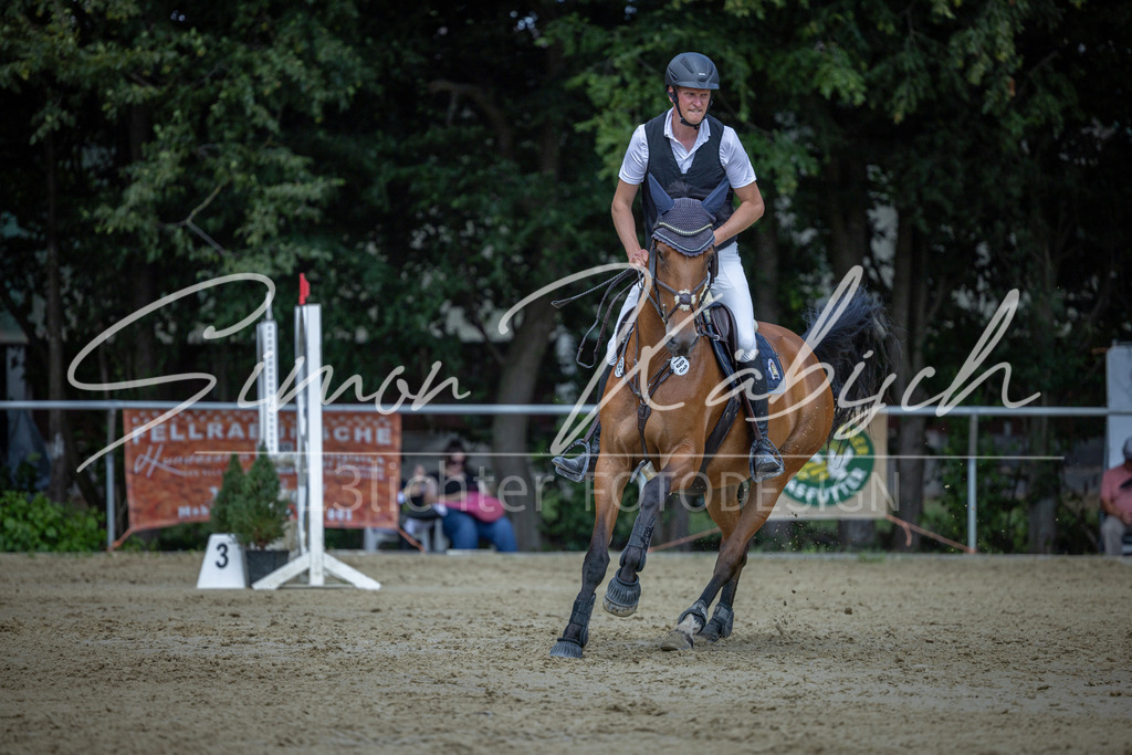 20260704-_3LI0491 | Tierfotografie Pferde, Hunde, Katzen, Haustiere.
Turnierfotografie Reitturniere, Reiten, Springreiten, Dressur in Hanau, dem Main-Kinzig-Kreis und dem Rhein-Main- Gebiet um Frankfurt