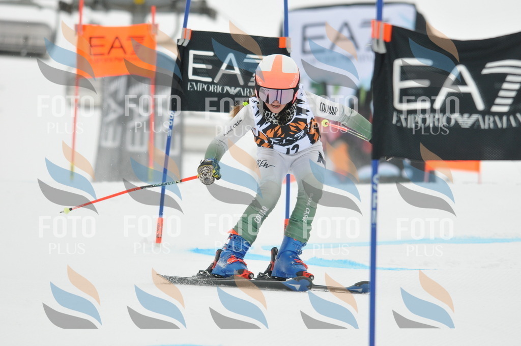 DSC_7404 | holidayphoto