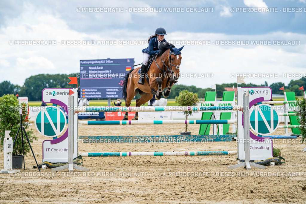 DSC06028 | Pferdegrafie