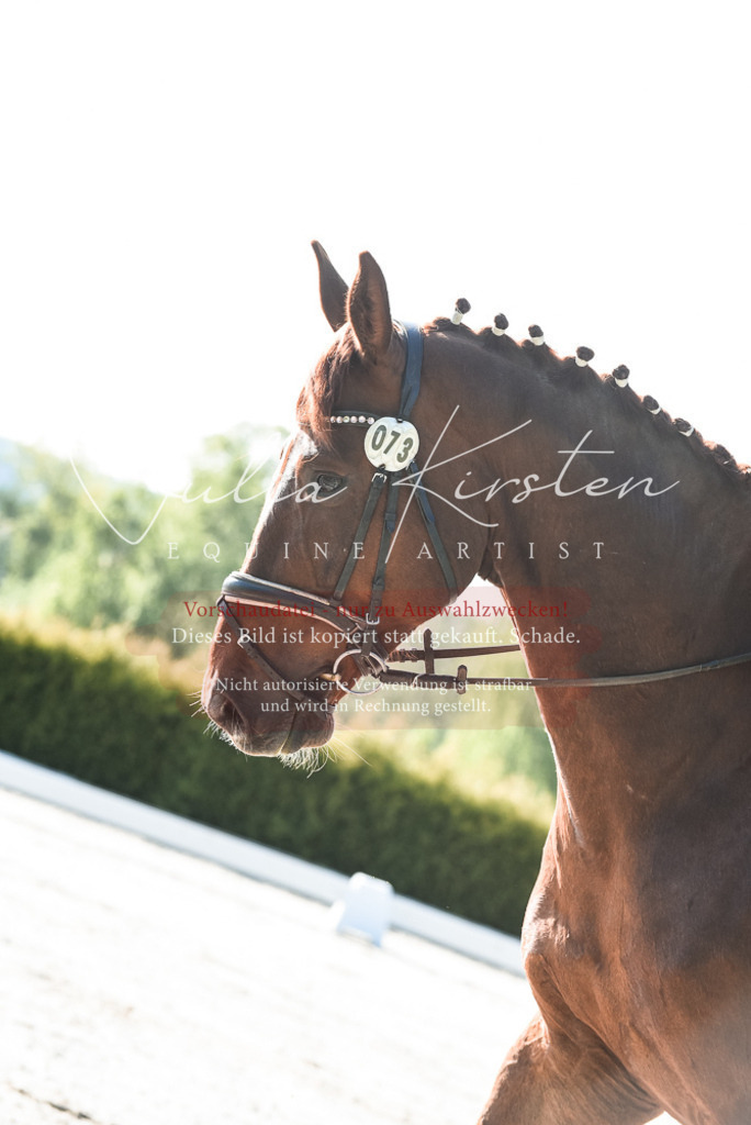 20230518_JK-Röhrsdorf-09-0497 | Pferde- und Turnierfotografie in Westsachsen. Pferdeportraits, Auftragszeichnungen und intuitive Kunst.
