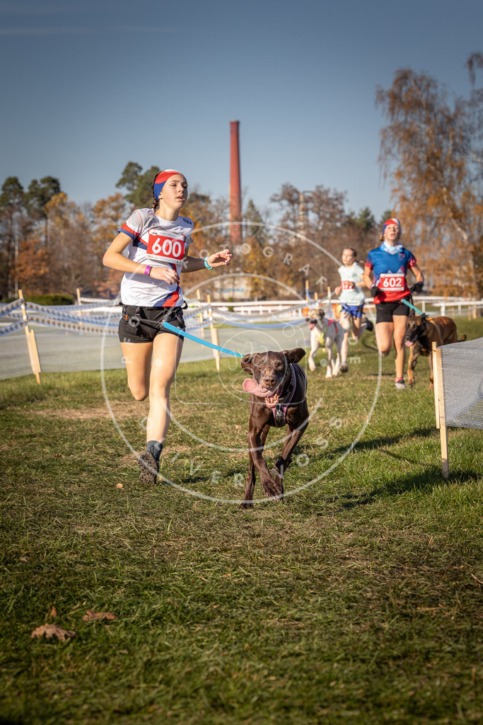 CaniXpix_0L8A8502 | Hundefotografie, Tierfotograf, Pfotenfotografie, Fotoshooting Hund, Hunde Portrait, Hundesport, Hundeportraits, Heideshooting, Hunde, Sportfotograf, Hundefotograf, Turnierhundsport, THS,  - Realisiert mit Pictrs.com