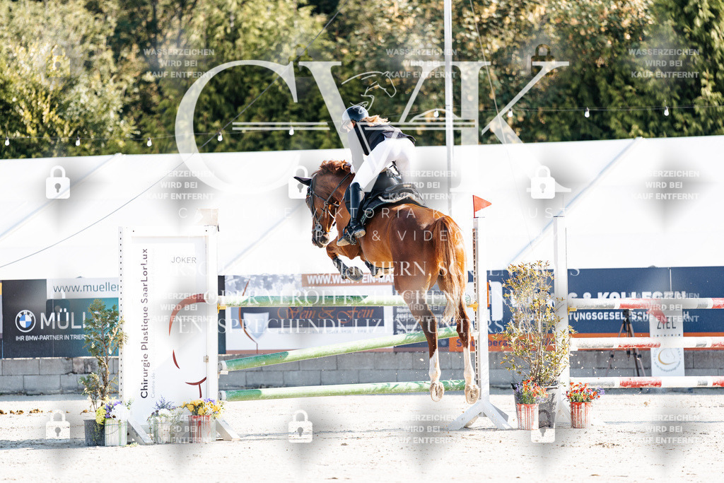 CK901558 | Turnierfotografie Pferdefotografie Trier Rheinland-Pfalz Pferdesport Reitsport Tierfotografie Sportfotografie Pferdevideo Pferdevideografie Equestrianvideography equestrianphotography  - Realisiert mit Pictrs.com