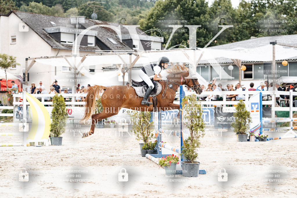 CK908452 | Turnierfotografie Pferdefotografie Trier Rheinland-Pfalz Pferdesport Reitsport Tierfotografie Sportfotografie Pferdevideo Pferdevideografie Equestrianvideography equestrianphotography  - Realisiert mit Pictrs.com