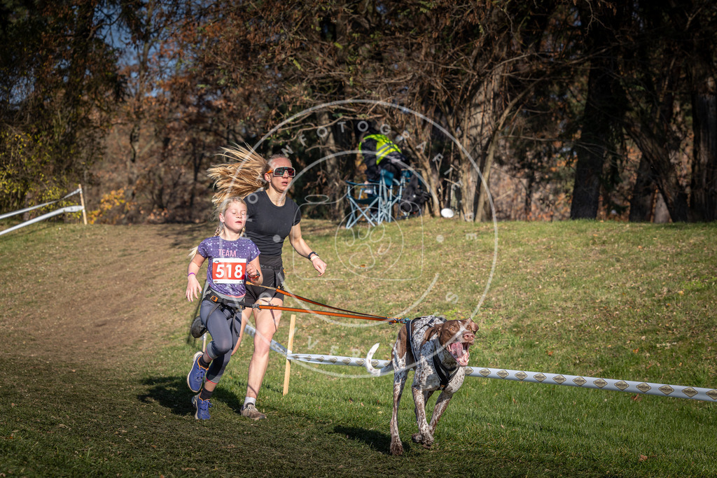 CaniXpix_0L8A8630 | Hundefotografie, Tierfotograf, Pfotenfotografie, Fotoshooting Hund, Hunde Portrait, Hundesport, Hundeportraits, Heideshooting, Hunde, Sportfotograf, Hundefotograf, Turnierhundsport, THS,  - Realisiert mit Pictrs.com