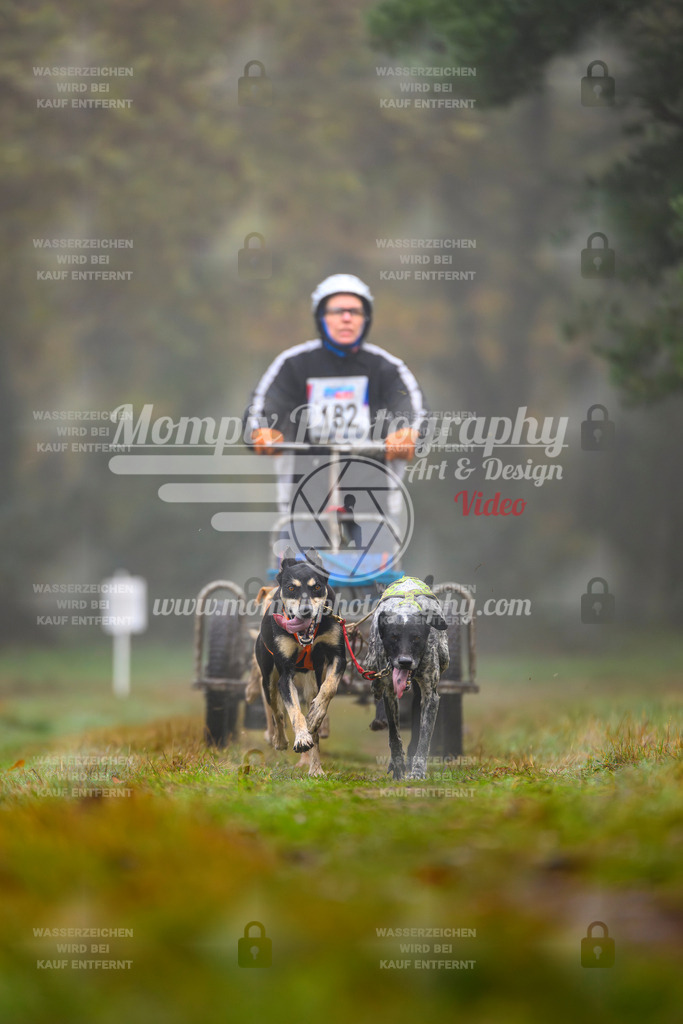 MompixPhotography_Bischwiller2025_Kart-19 | mompixphotography