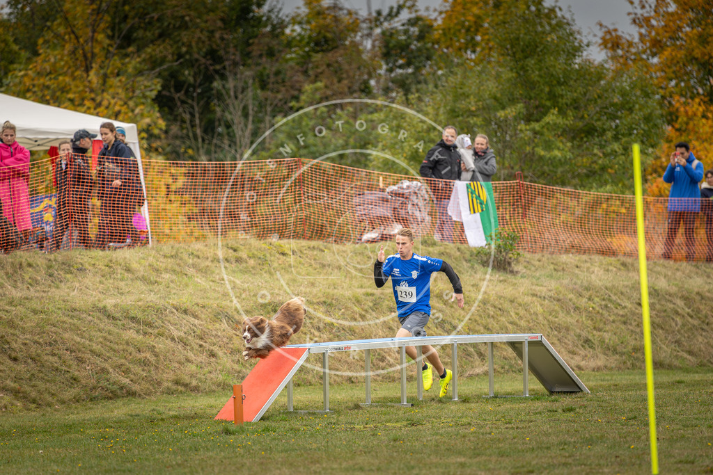 Pfotenfotografie_DV3A5814 | Hundefotografie, Tierfotograf, Pfotenfotografie, Fotoshooting Hund, Hunde Portrait, Hundesport, Hundeportraits, Heideshooting, Hunde, Sportfotograf, Hundefotograf, Turnierhundsport, THS,  - Realisiert mit Pictrs.com