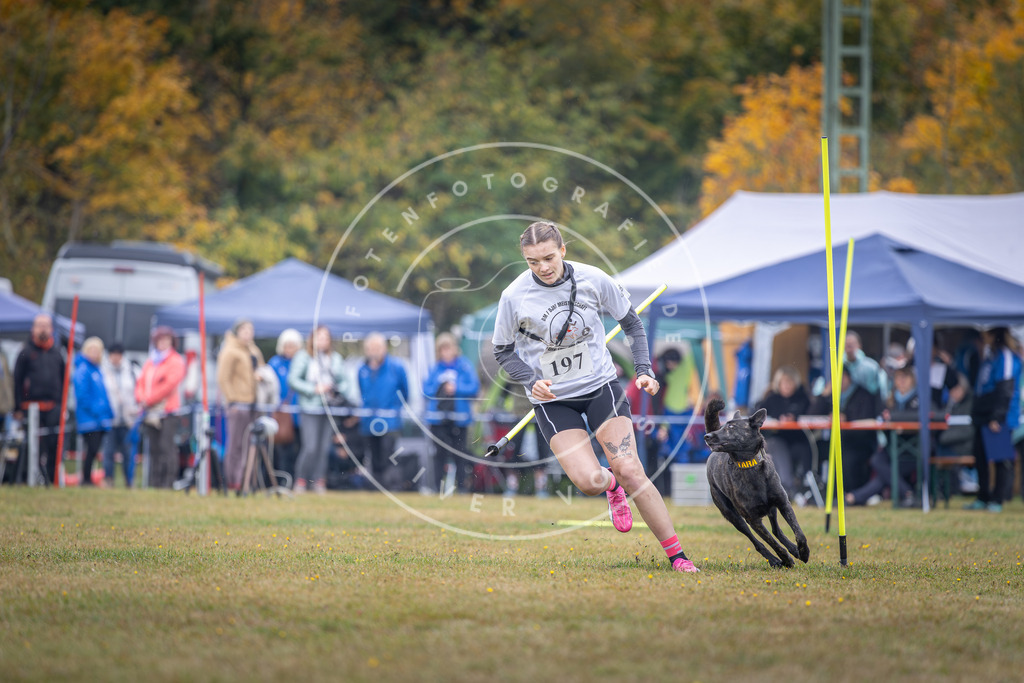 Pfotenfotografie_DV3A1089 | Hundefotografie, Tierfotograf, Pfotenfotografie, Fotoshooting Hund, Hunde Portrait, Hundesport, Hundeportraits, Heideshooting, Hunde, Sportfotograf, Hundefotograf, Turnierhundsport, THS,  - Realisiert mit Pictrs.com
