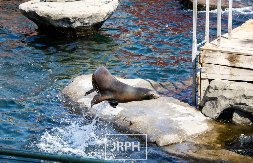 IMG_7730 | jrph - Realisiert mit Pictrs.com