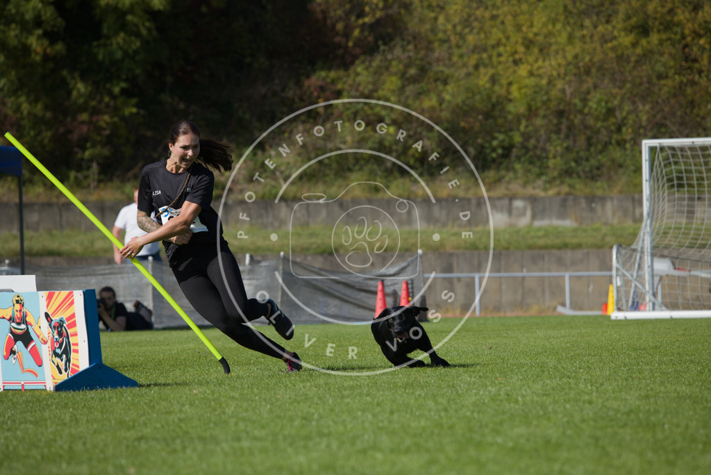 0L8A8280 | Hundefotografie, Tierfotograf, Pfotenfotografie, Fotoshooting Hund, Hunde Portrait, Hundesport, Hundeportraits, Heideshooting, Hunde, Sportfotograf, Hundefotograf, Turnierhundsport, THS,  - Realisiert mit Pictrs.com