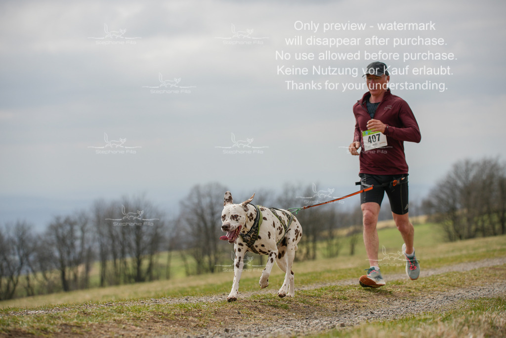 CaniXRunSA-54 | stephaniefillaphotographie - Realisiert mit Pictrs.com