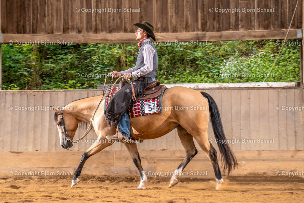 LMS03116 | BS-foto