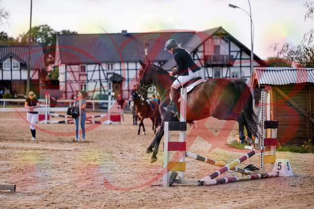 2026_10_03_Siefer-Hof_144053_Z81_12353312 | Professionelle Reitsport-, Turnier- und Eventfotografie von Robert Broda. Galerien mit ausgewählten und bearbeiteten Bildern direkt online ansehen und bestellen.