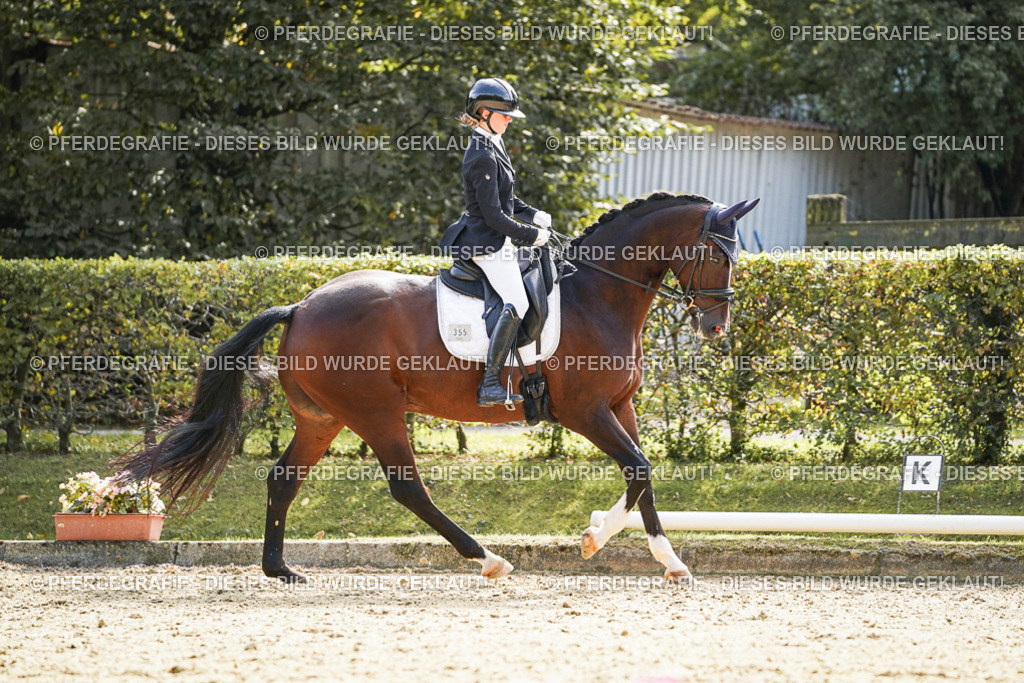 DSC08899 | Pferdegrafie