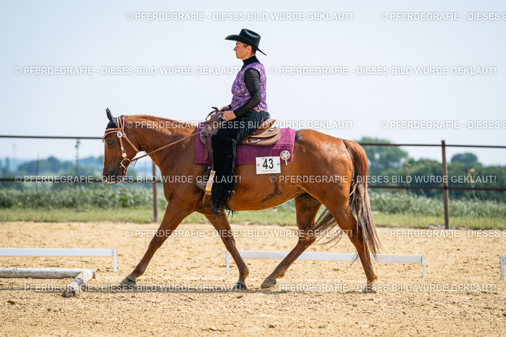 DSC00260 | Pferdegrafie